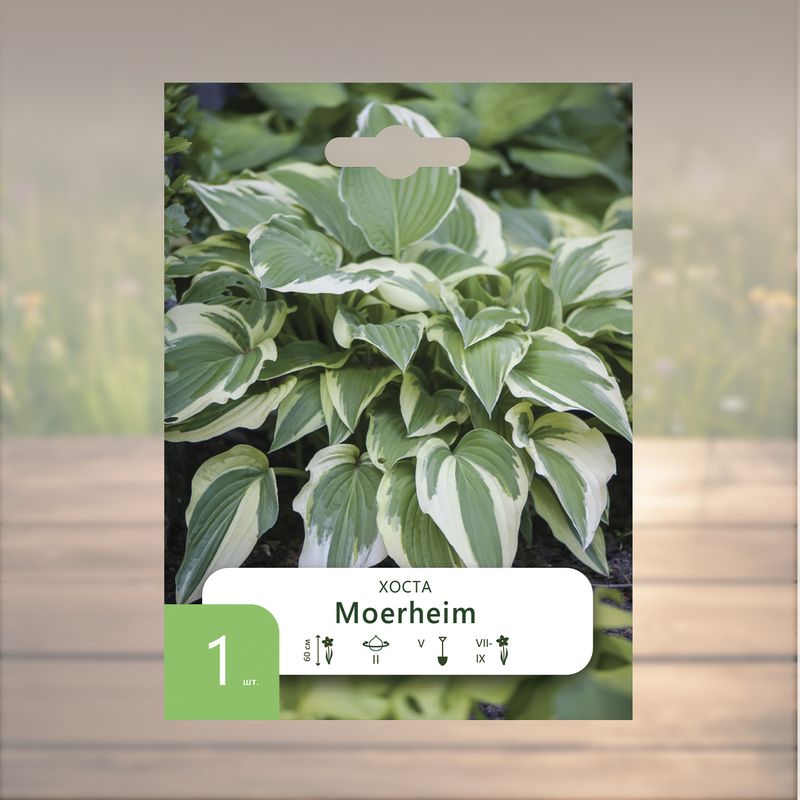 Корни многолетних культур "Петрофлора", 1 шт., в ассортименте