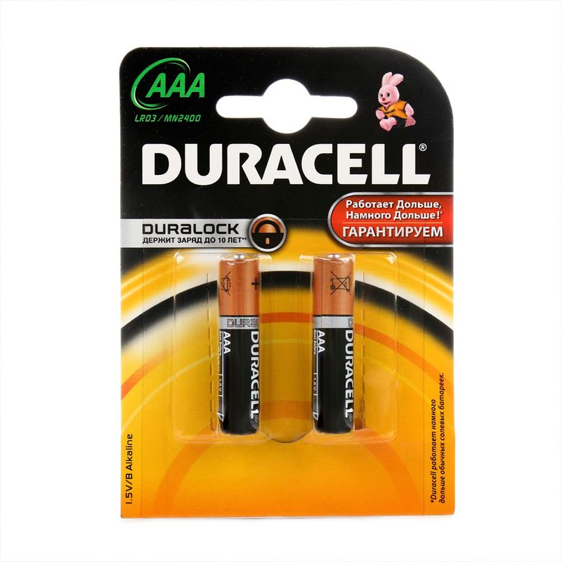 Батарейки алкалиновые, Duracell, ААА, 2 шт.