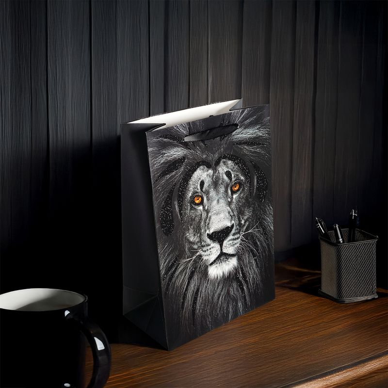 Пакет подарочный, Men’s Direction, 26х18х10 см, в ассортименте