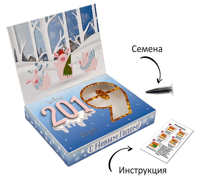 Набор для выращивания растений «Вырасти меня»