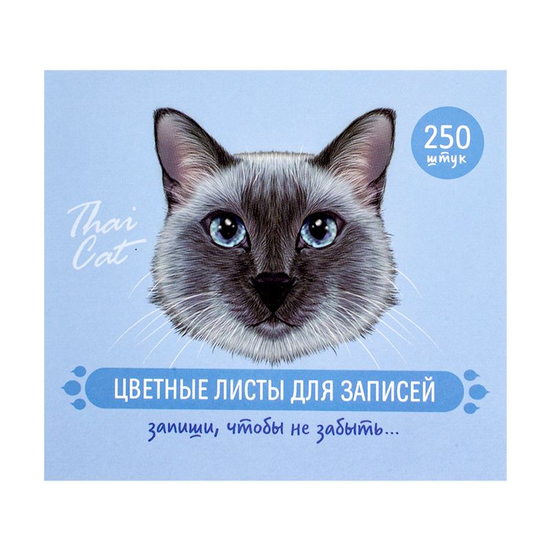 Цветные листы для записей, 250 шт., в ассортименте