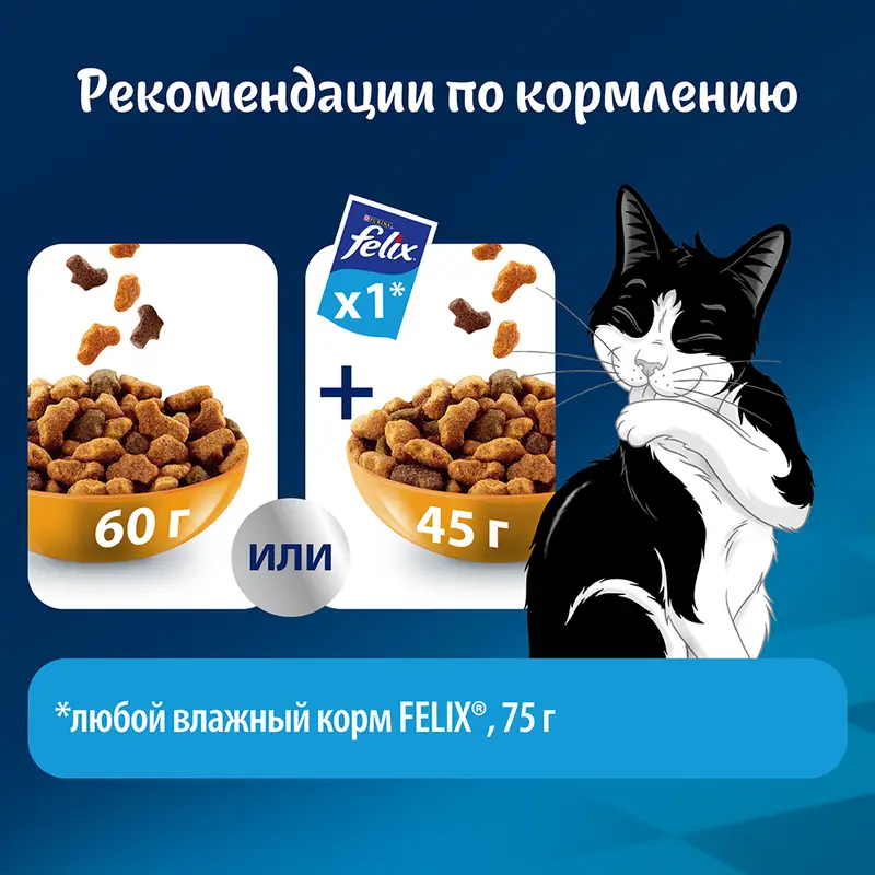 Сухой корм "Мясное объедение", FELIX, с говядиной, 600 г
