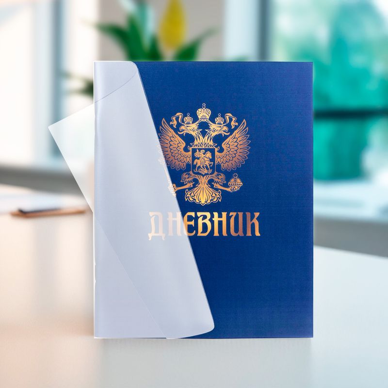 Дневник школьный, в ассортименте