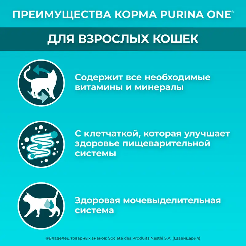 Влажный корм для взрослых кошек, PURINA ONE, с говядиной и морковью, 75 г
