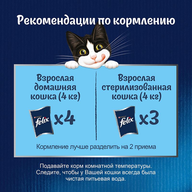 Влажный корм для взрослых кошек "Домашняя вкуснятина", FELIX, с птицей, 75 г