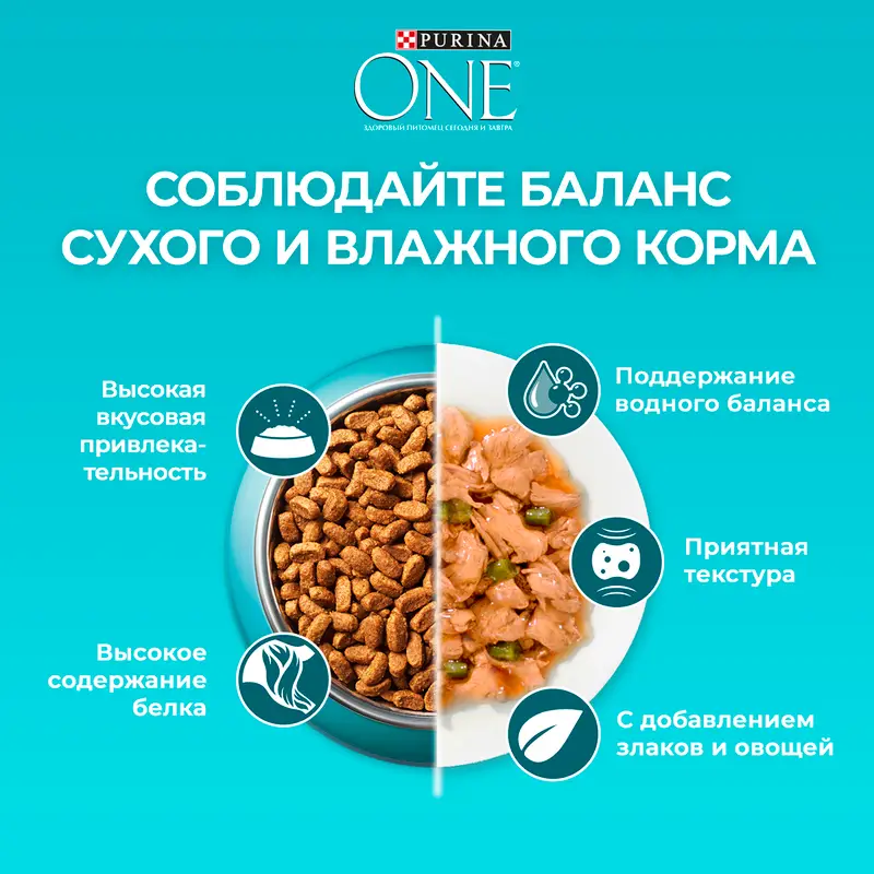 Сухой корм для стерилизованных кошек и кастрированных котов, PURINA ONE, с говядиной, 424 г