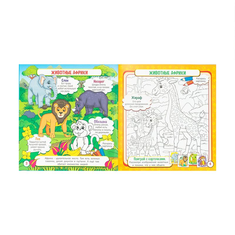 Книга с игровыми карточками, в ассортименте