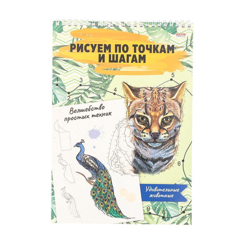 Альбом для рисования: рисуй по точкам и шагам, в ассортименте