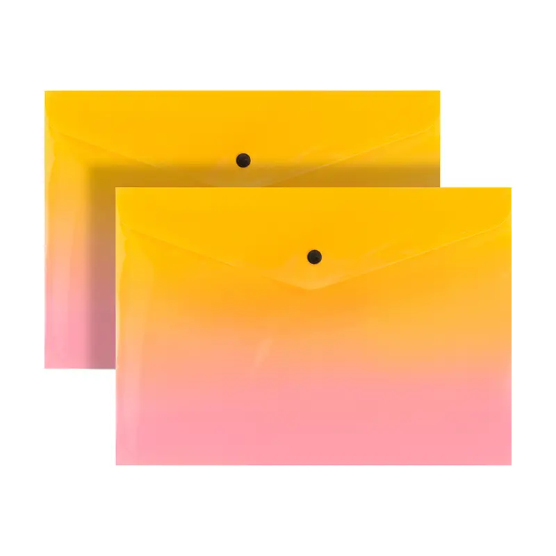 Папка для документов, Block&Note, А4, 2 шт., в ассортименте