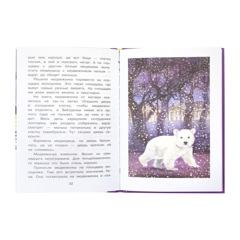 Серия книг «Внеклассное чтение»