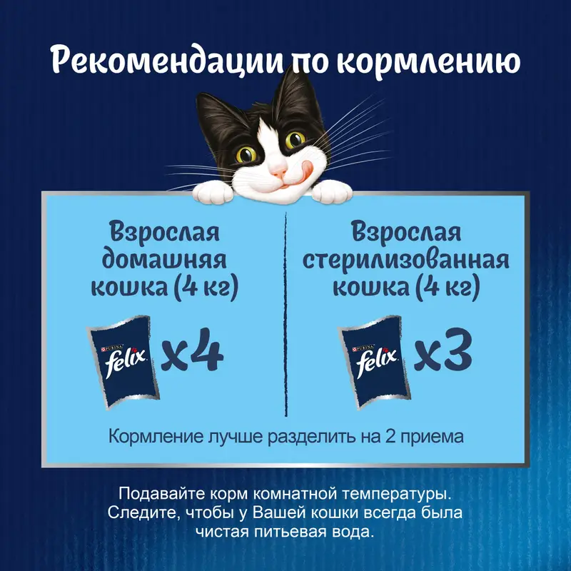 Влажный корм для кошек "Двойная вкуснятина", FELIX, с ягненком и курицей в желе, 75 г