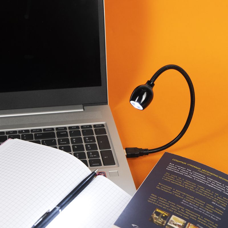 Светильник светодиодный USB, Flarx, 30 см, в ассортименте