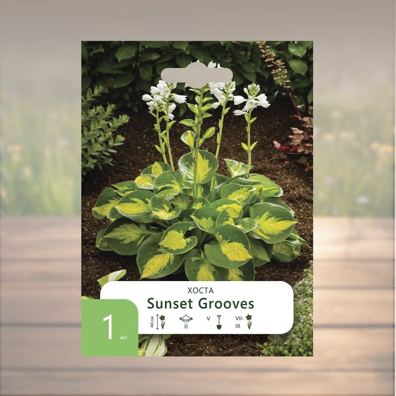 Корни многолетних культур "Петрофлора", 1 шт., в ассортименте