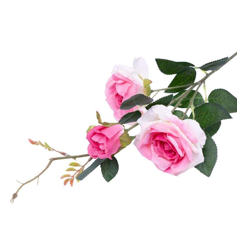 Роза kesdlQp7nP-8904173500331_4.jpg