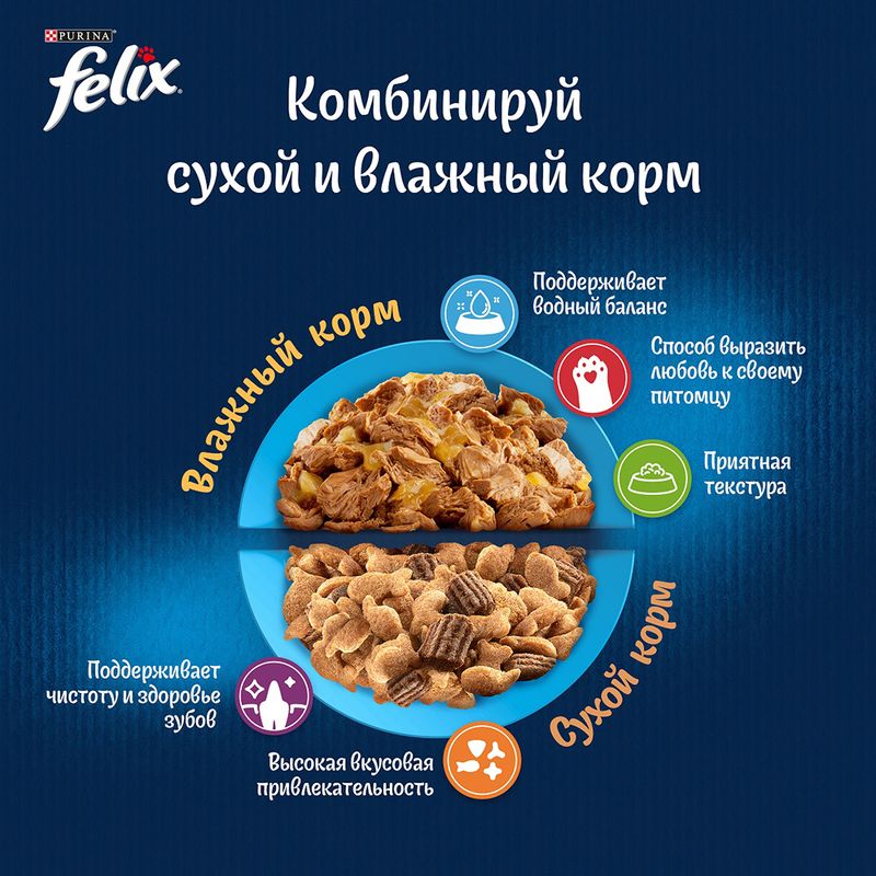 Влажный корм для взрослых кошек "Домашняя вкуснятина", FELIX, с ягнёнком, 75 г