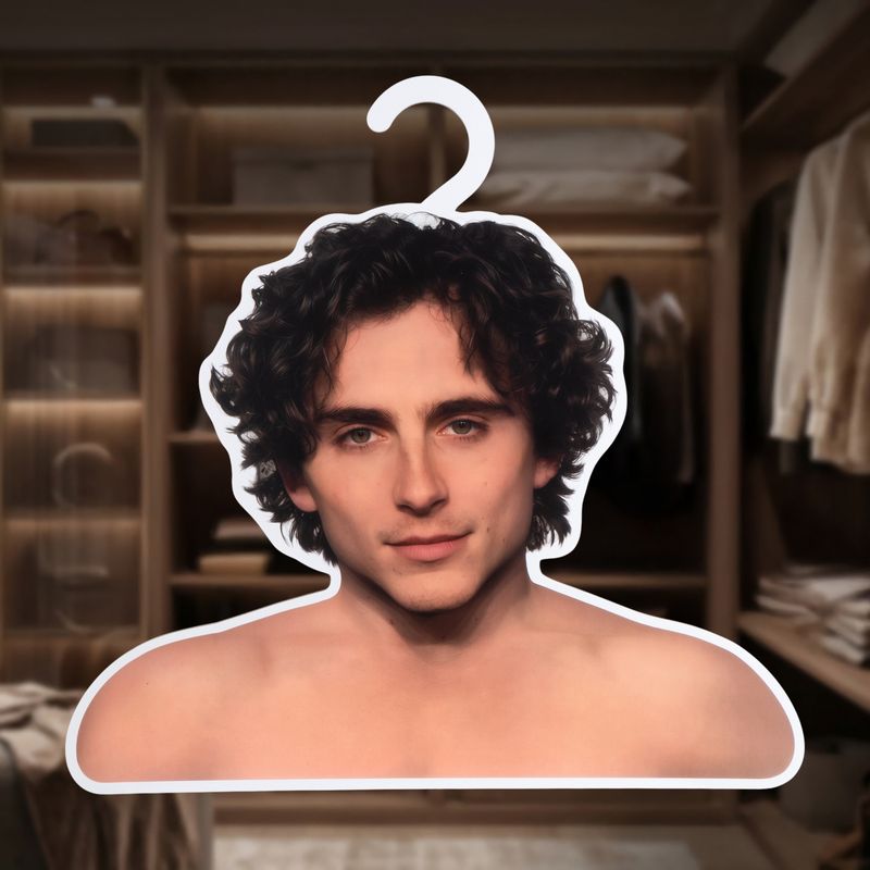 Плечики для одежды, PrankBank, в ассортименте