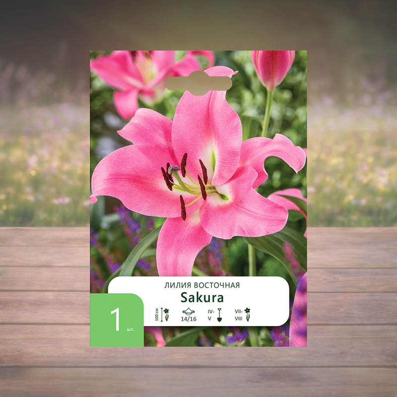 Луковица "Лилия", Петрофлора, 1 шт., в ассортименте