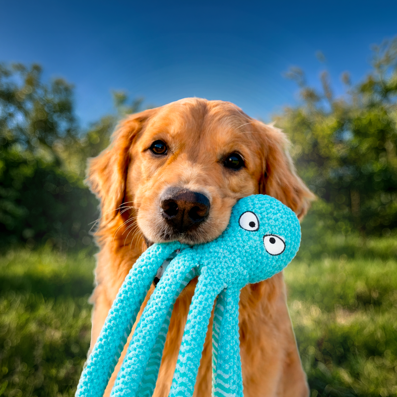 Игрушка для животных "Шуршалка", Pet Club, 40 см, в ассортименте