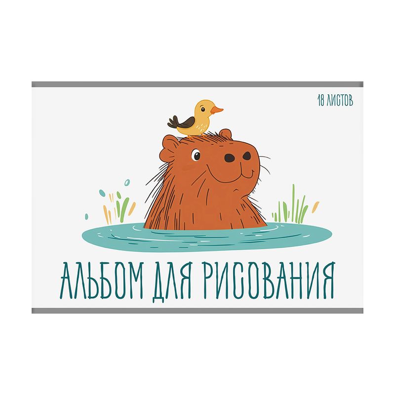 Альбом 24 листа + 2 листа интерактива
