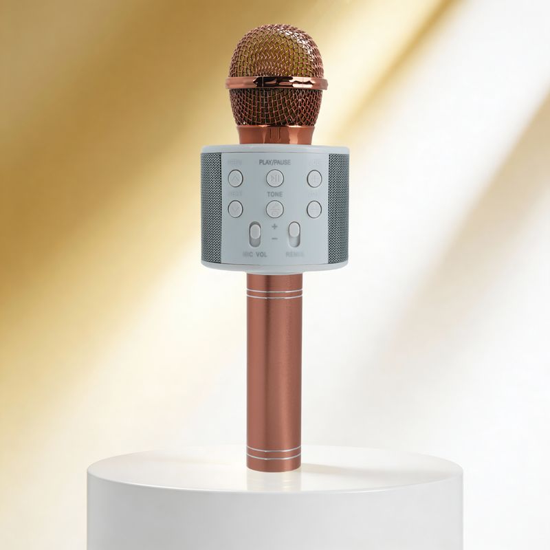 Микрофон с колонкой, портативный аккумуляторный, FLARX, в ассортименте