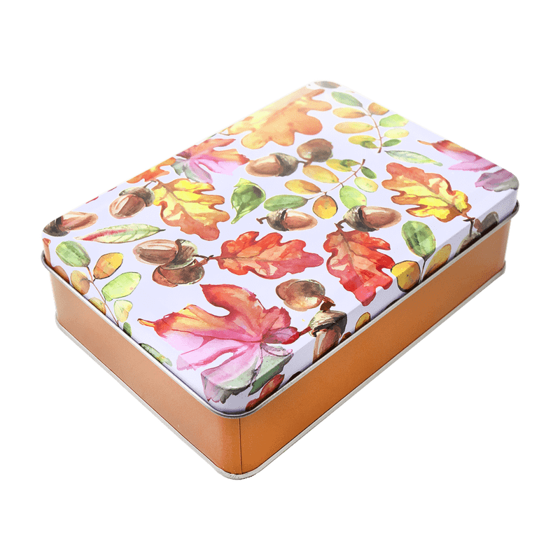 Коробка металлическая, 16х11х4 см