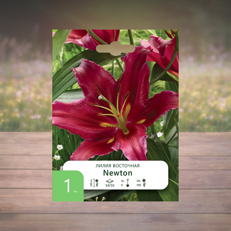 Луковица "Лилия", Петрофлора, 1 шт., в ассортименте