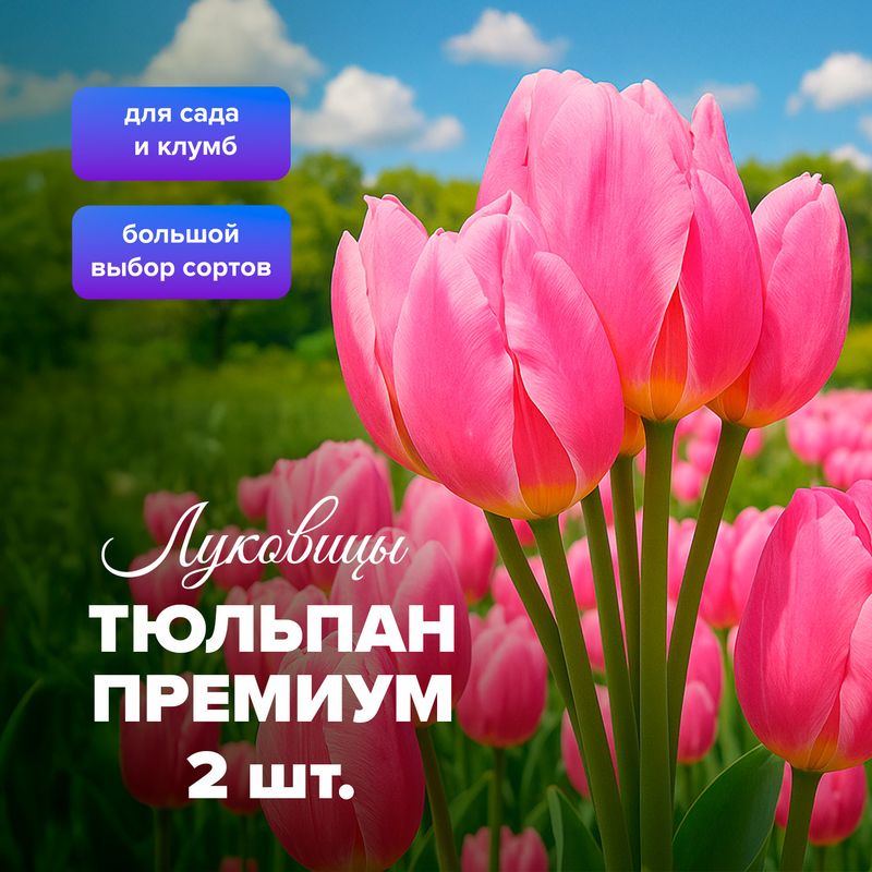 Луковицы цветов, в ассортименте