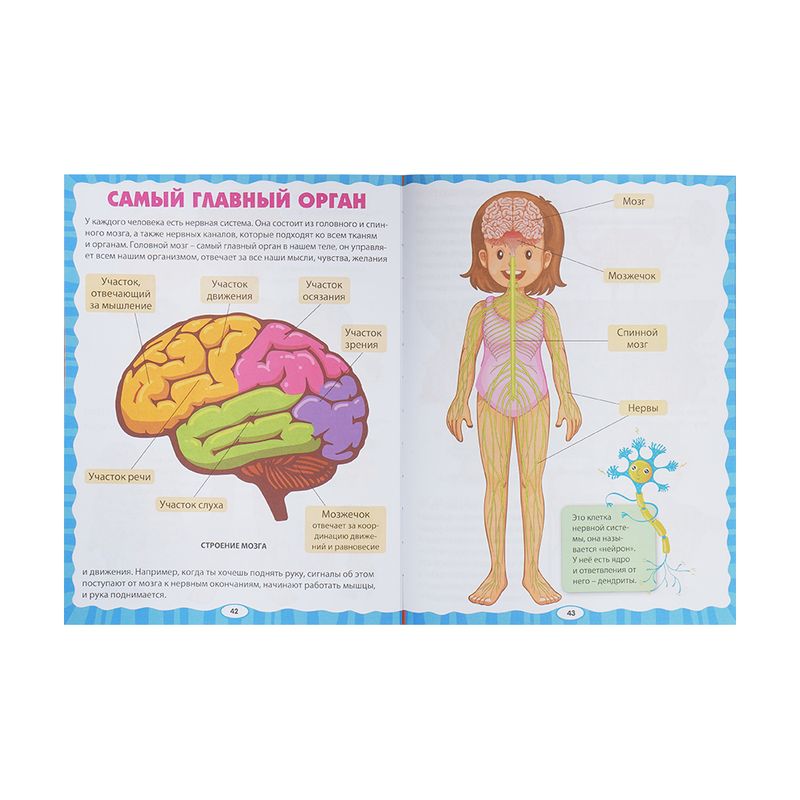 Серия книг Детские энциклопедии