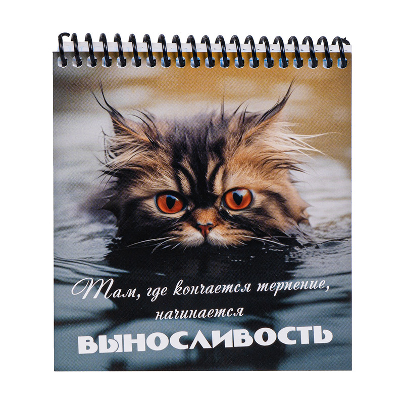 Блокнот на спирали, 96 листов, в ассортименте
