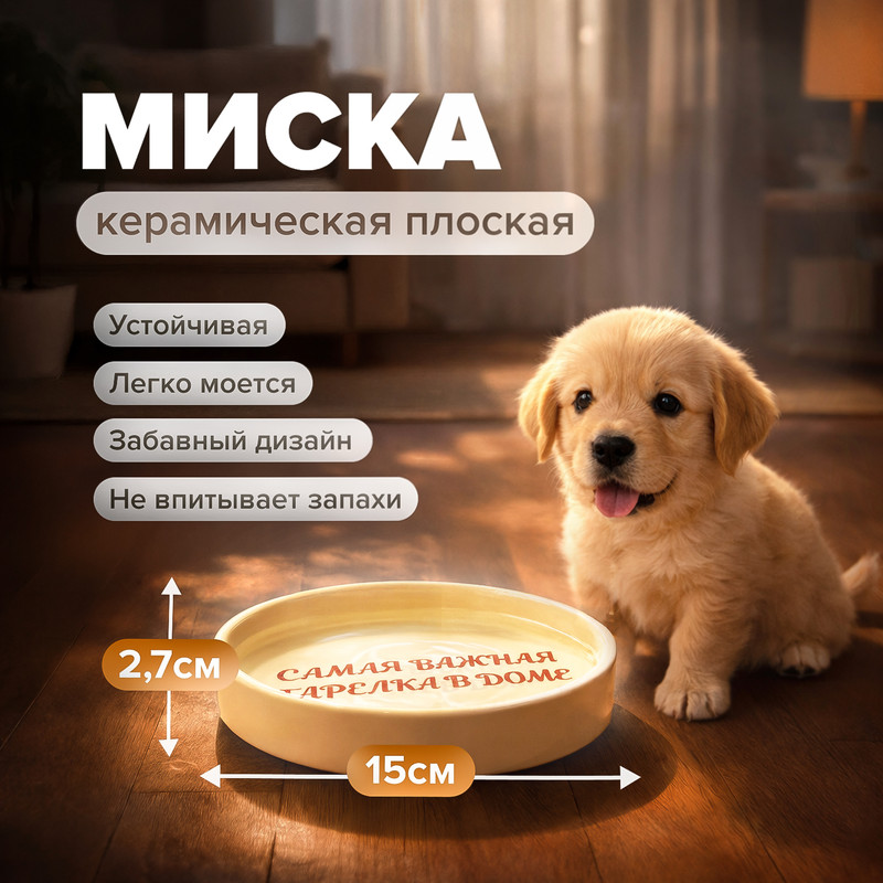 Плоская керамическая миска для кошек, Pet Club, 15х2,7 см, в ассортименте