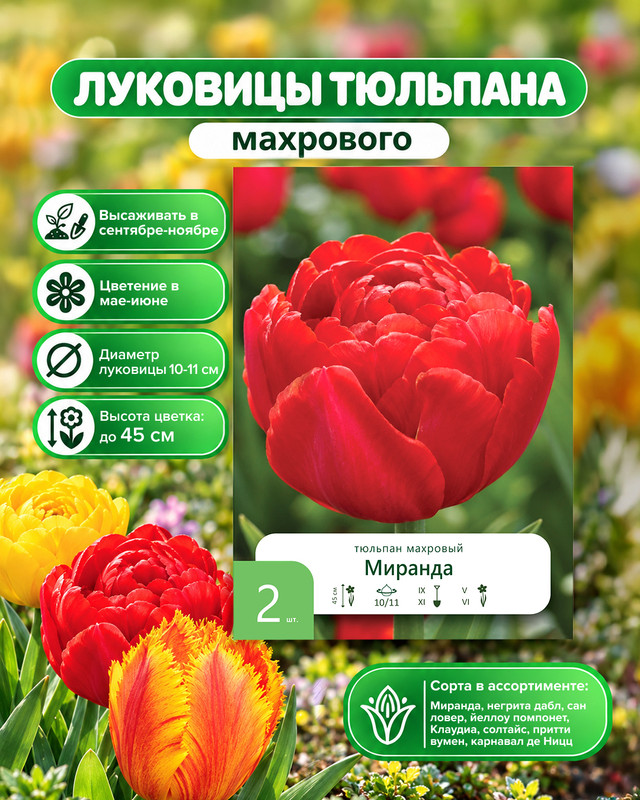 Луковицы цветов, в ассортименте