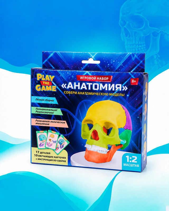 Игровой набор "Анатомия", Play the Game, в ассортименте