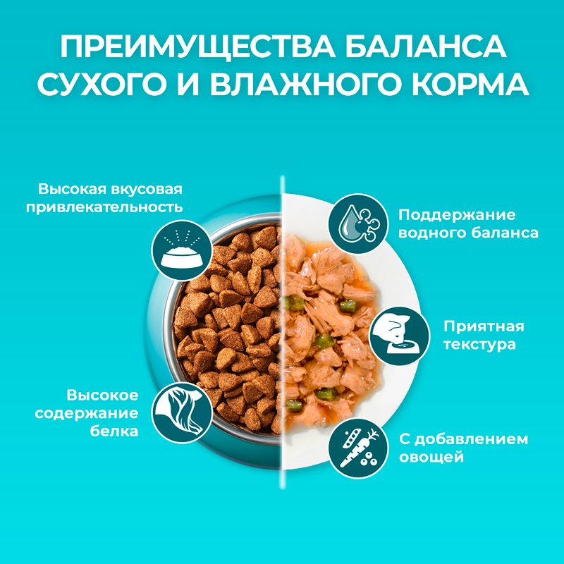 Влажный корм для взрослых домашних кошек, PURINA ONE, с курицей и морковью, 75 г