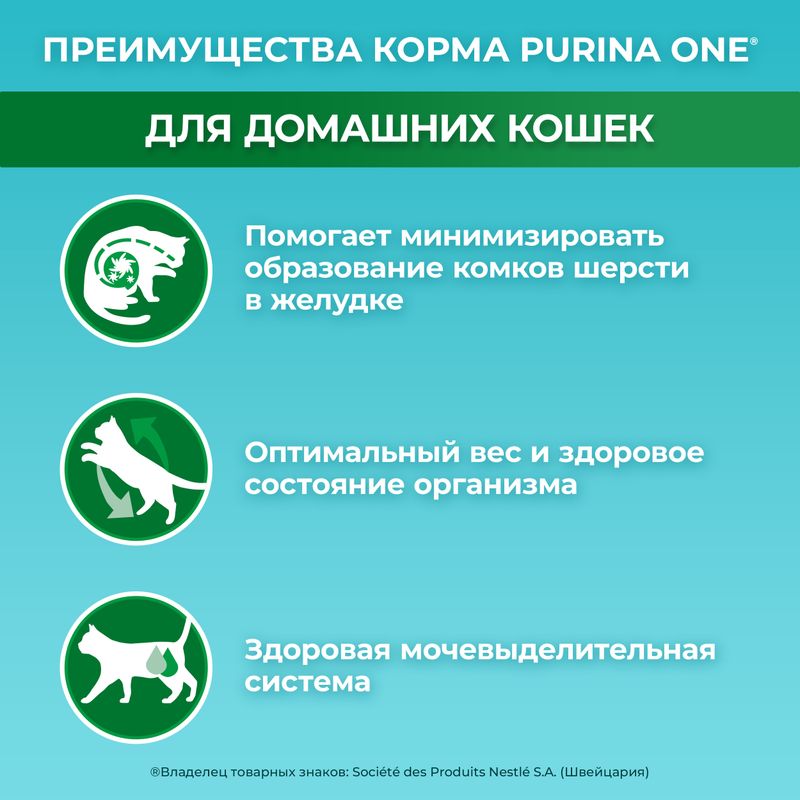 Влажный корм для взрослых домашних кошек, PURINA ONE, с курицей и морковью, 75 г